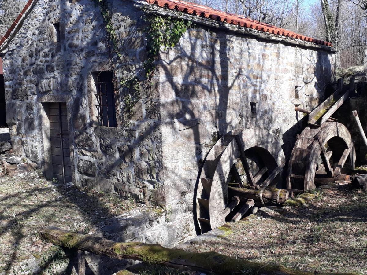 Wine House Rakar Pensionat Gračišče Eksteriør billede