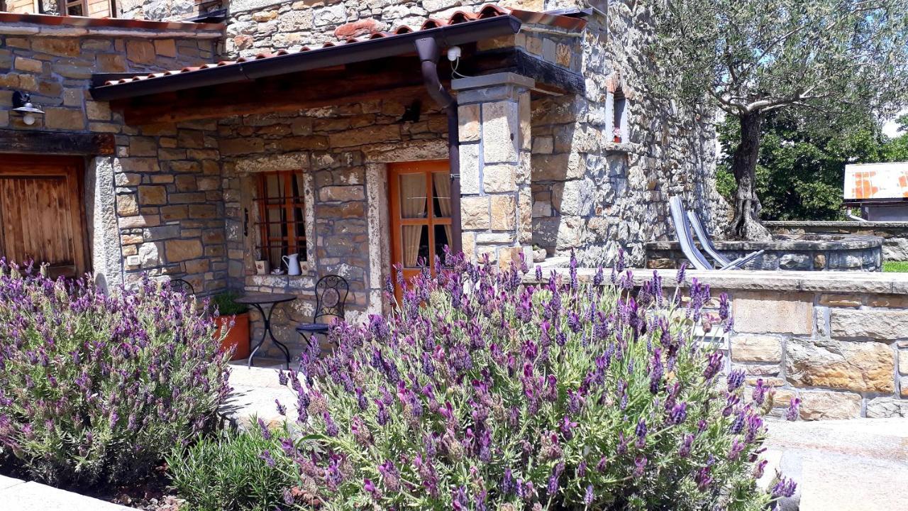 Wine House Rakar Pensionat Gračišče Eksteriør billede