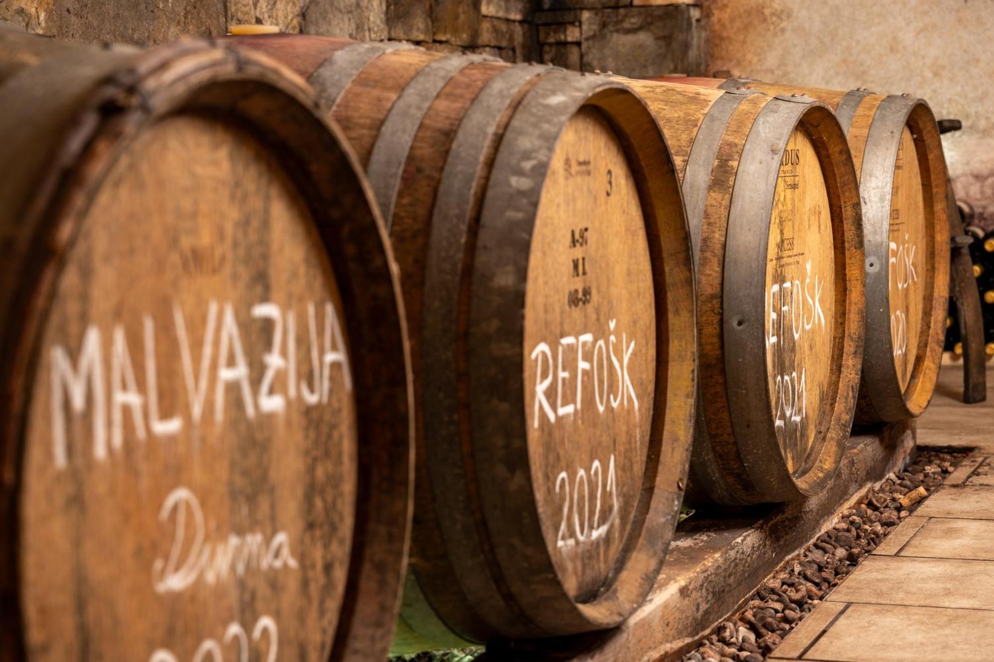 Wine House Rakar Pensionat Gračišče Eksteriør billede