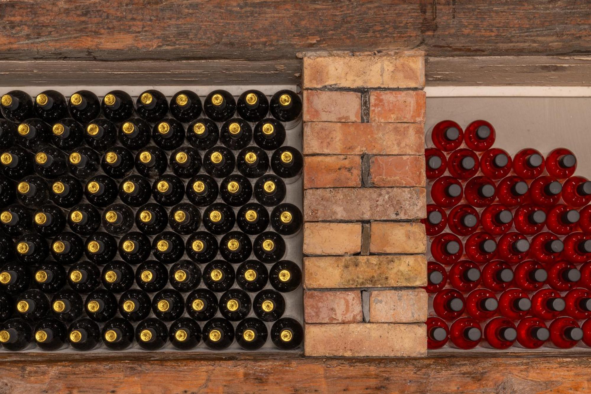 Wine House Rakar Pensionat Gračišče Eksteriør billede