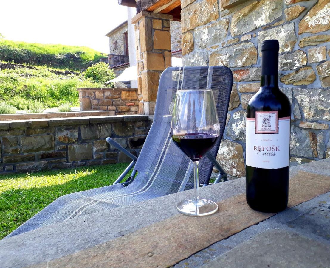 Wine House Rakar Pensionat Gračišče Eksteriør billede