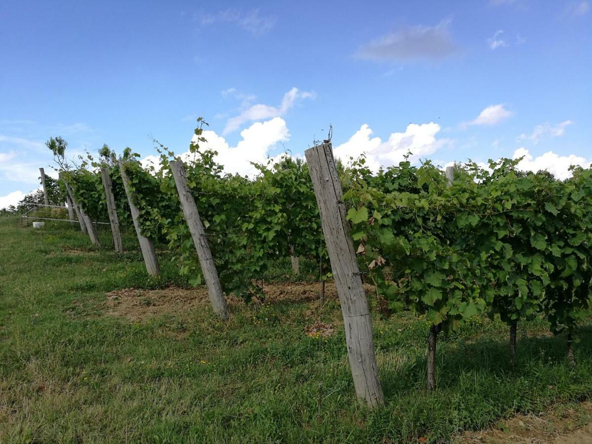 Wine House Rakar Pensionat Gračišče Eksteriør billede